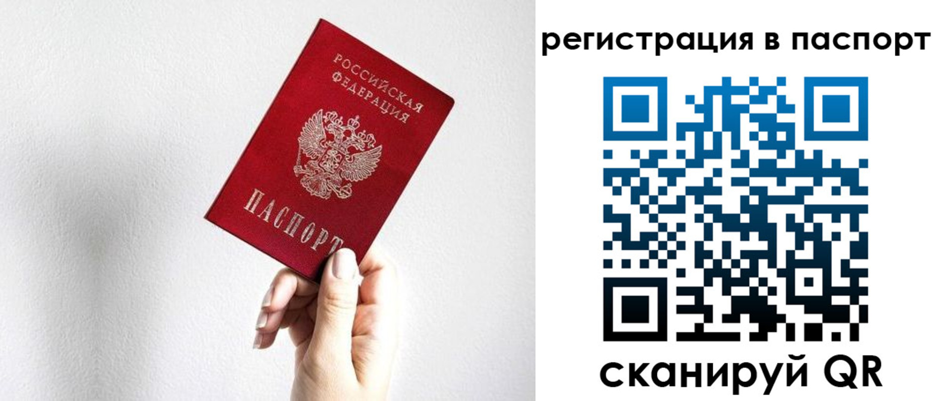 прописка законно в Владимире
